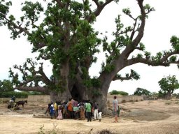 285174_10150262258409901_313891_n